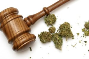 Medical Marijuana Retailers and Employment Laws